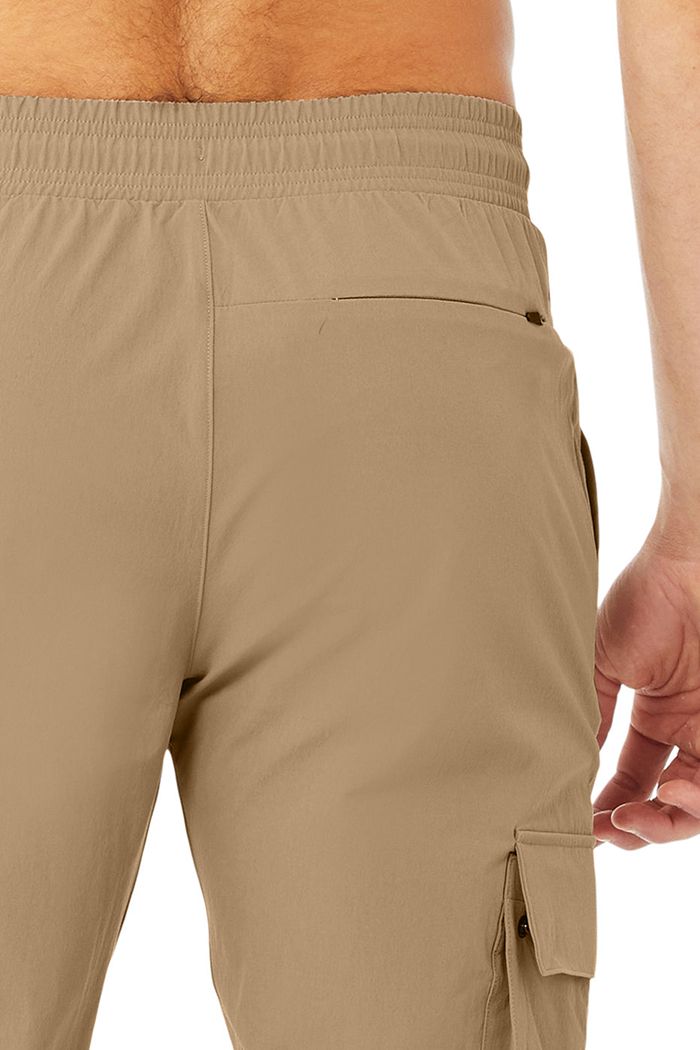 Alo Yoga Cargo Division Field Byxor Herr Bruna | 9250147-NG