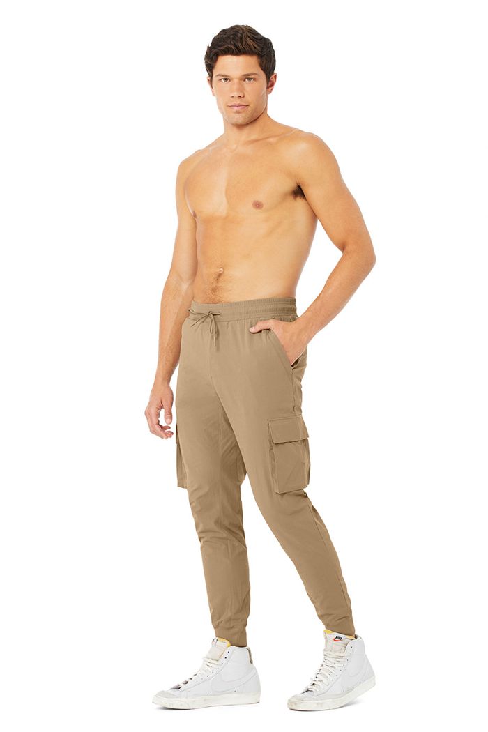 Alo Yoga Cargo Division Field Byxor Herr Bruna | 9250147-NG