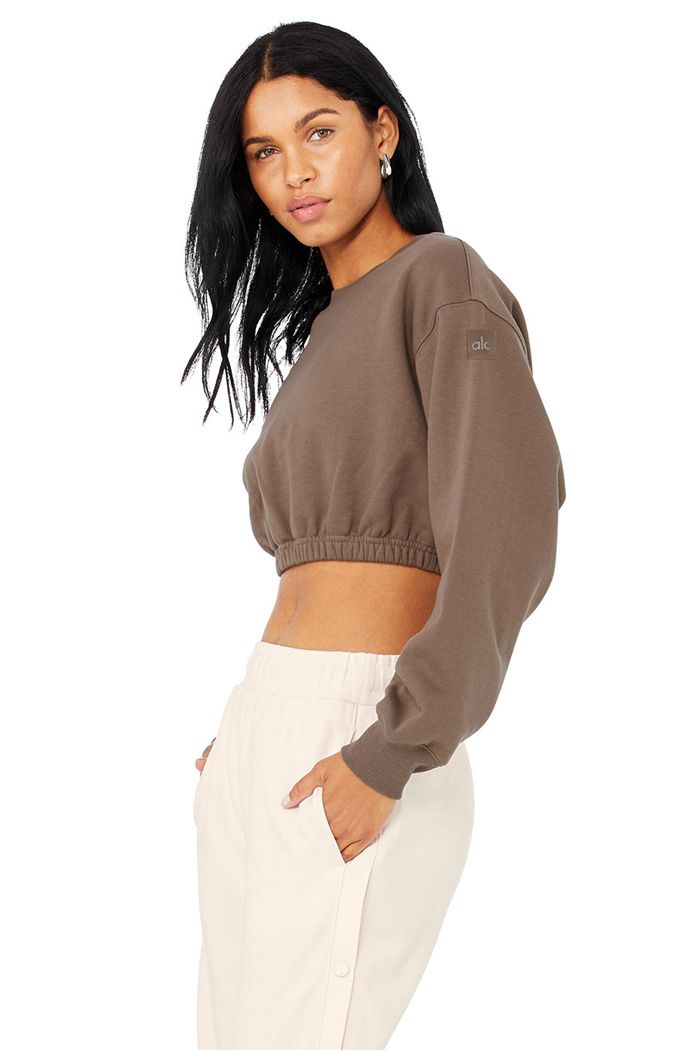 Alo Yoga Devotion Crew Neck Sweatshirt Dam Bruna | 3524168-SB