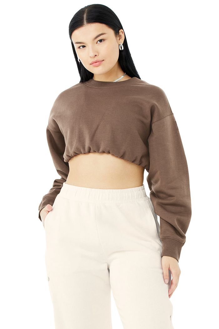 Alo Yoga Devotion Crew Neck Sweatshirt Dam Bruna | 3524168-SB