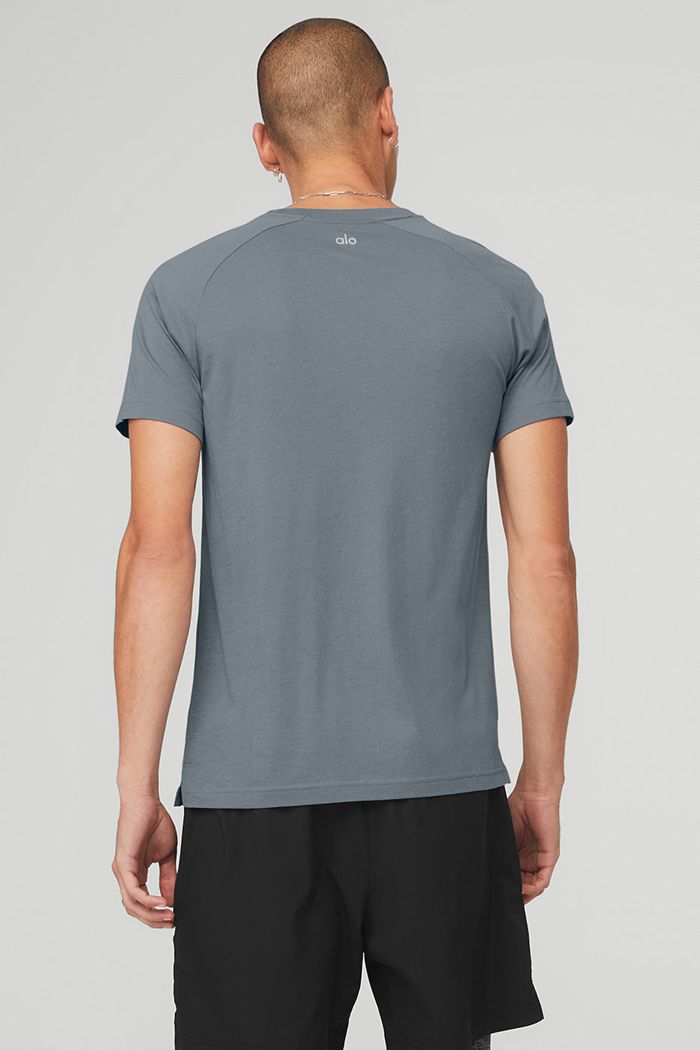Alo Yoga The Triumph Crew Neck Tee Short Sleeve Herr Grå | 2687910-MN