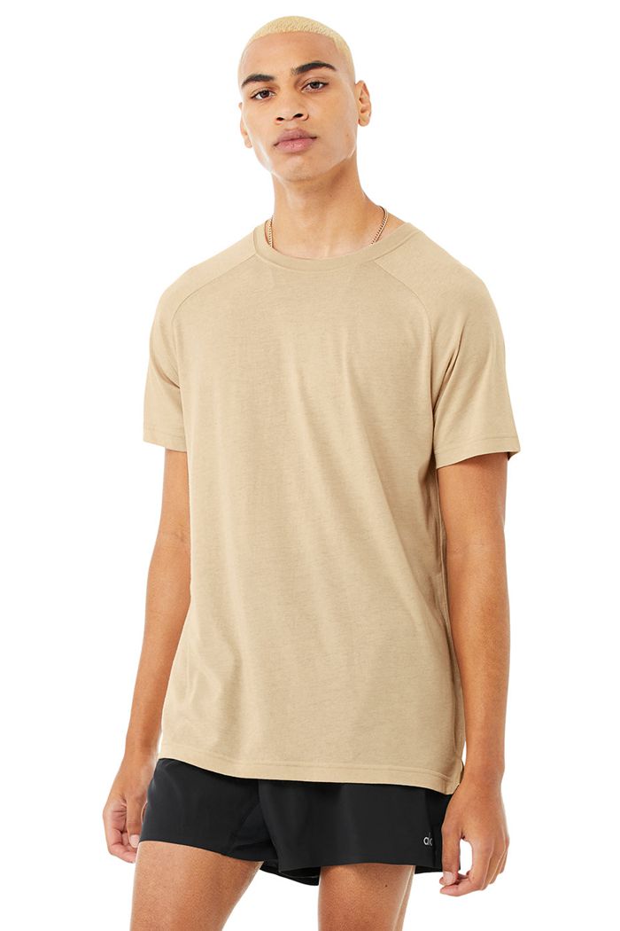 Alo Yoga The Triumph Crew Neck Tee Short Sleeve Herr Bruna | 3108927-LG